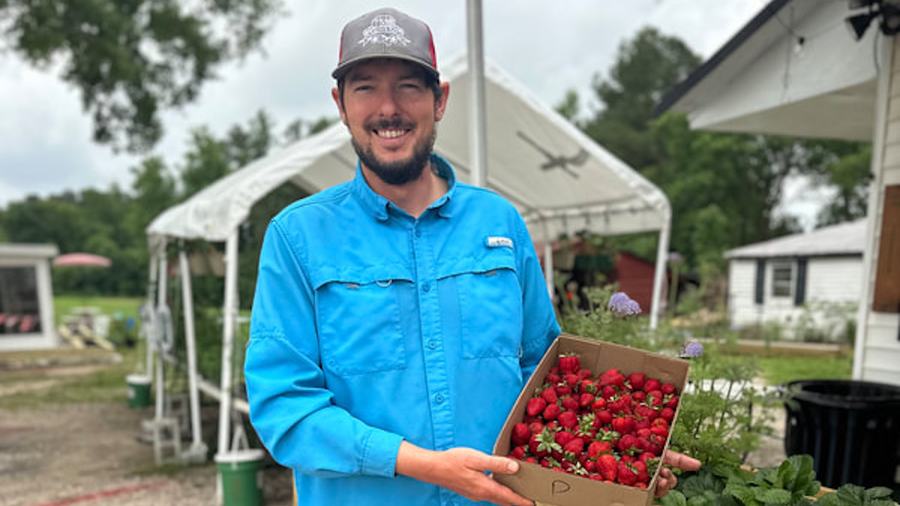 Austin Wrenn, North American Strawberry Association president, poses with a box of fresh strawberries outside at his farm.
