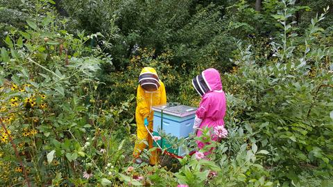 Bee keepers in protective gear with hive box