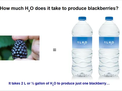 picture of a blackberry and 2 bottles of water