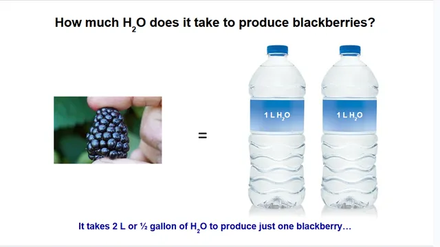 picture of a blackberry and 2 bottles of water
