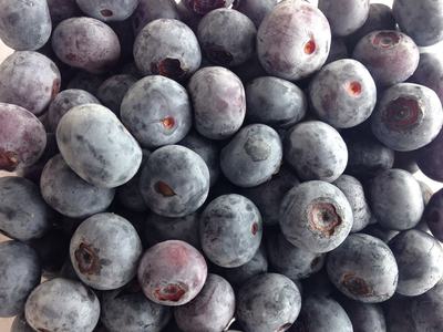 blueberries