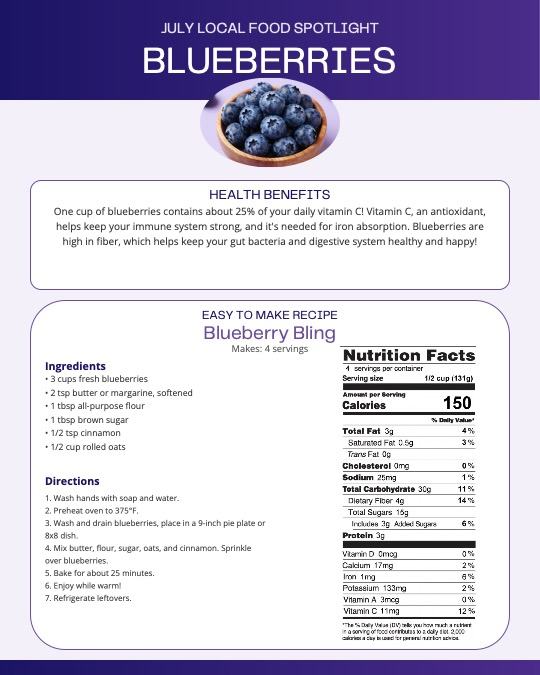 Blueberry recipe graphic