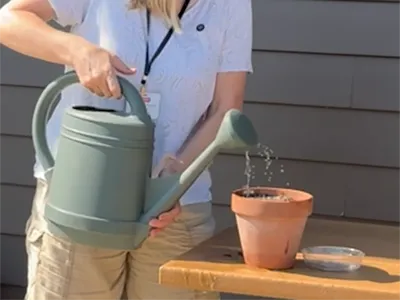 How to water plants in pots to make sure that they have plenty of water.