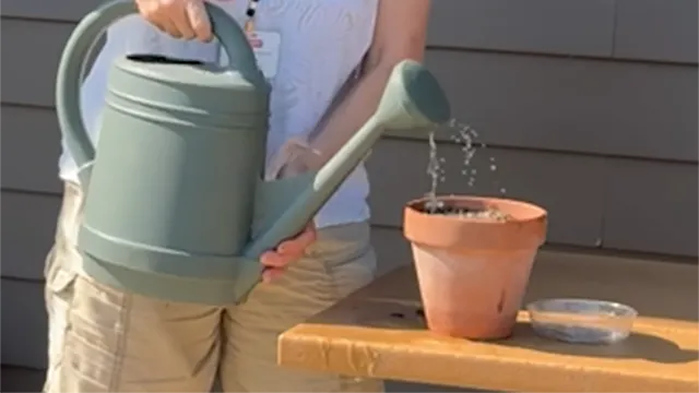 How to water plants in pots to make sure that they have plenty of water.