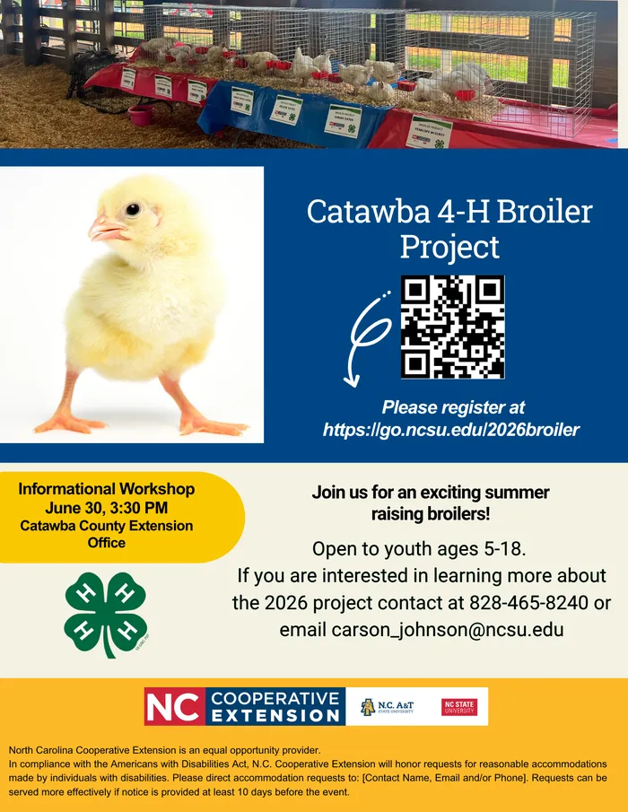 broiler project flyer