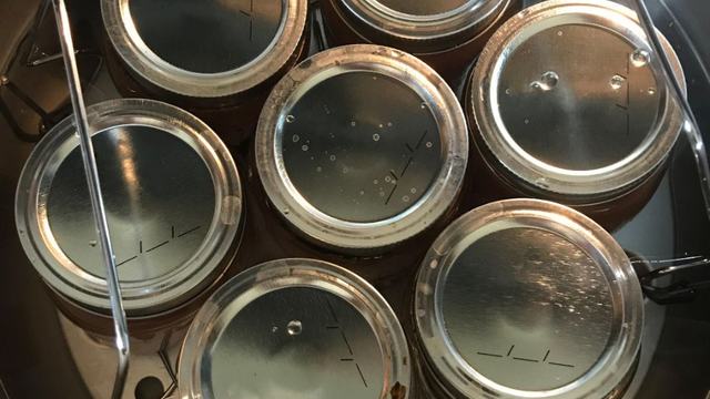 Tops of jars sitting inside of a canner