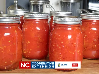 several jars of canned tomatoes