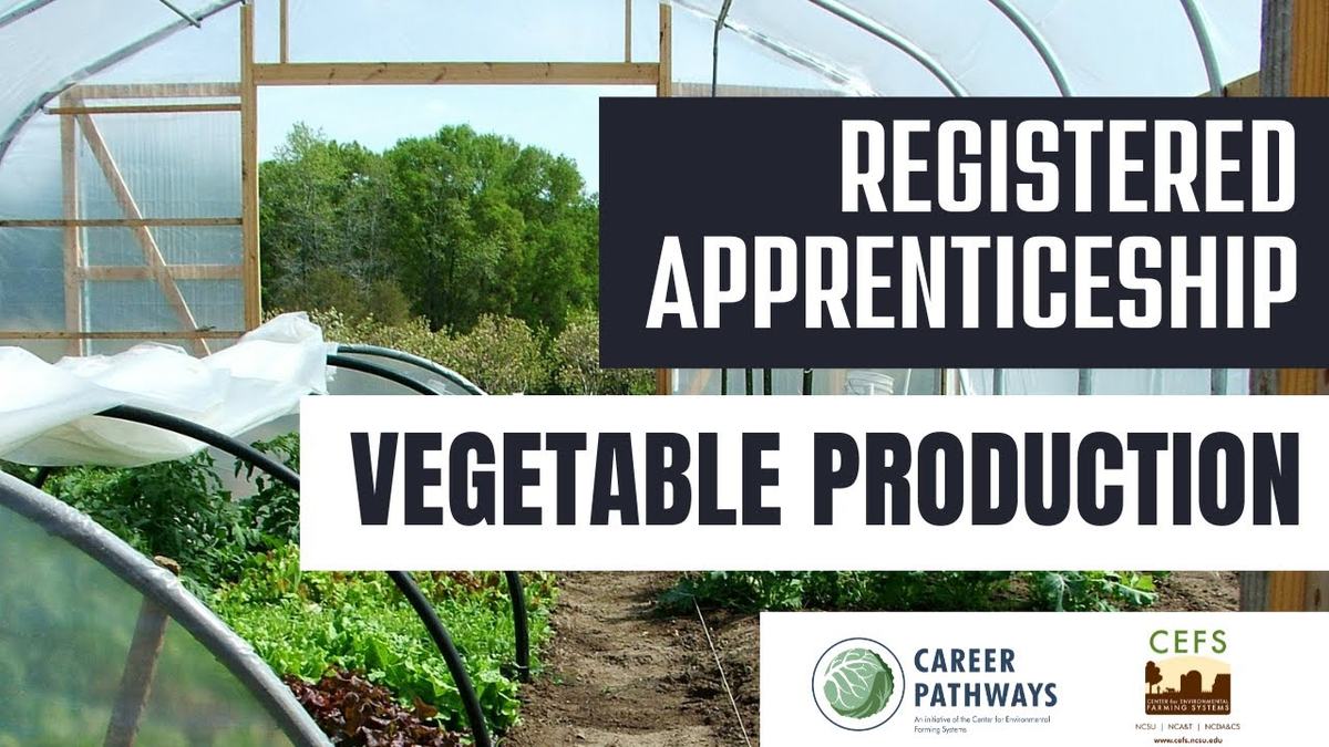 Registered apprenticeship Vegetable Production banner image