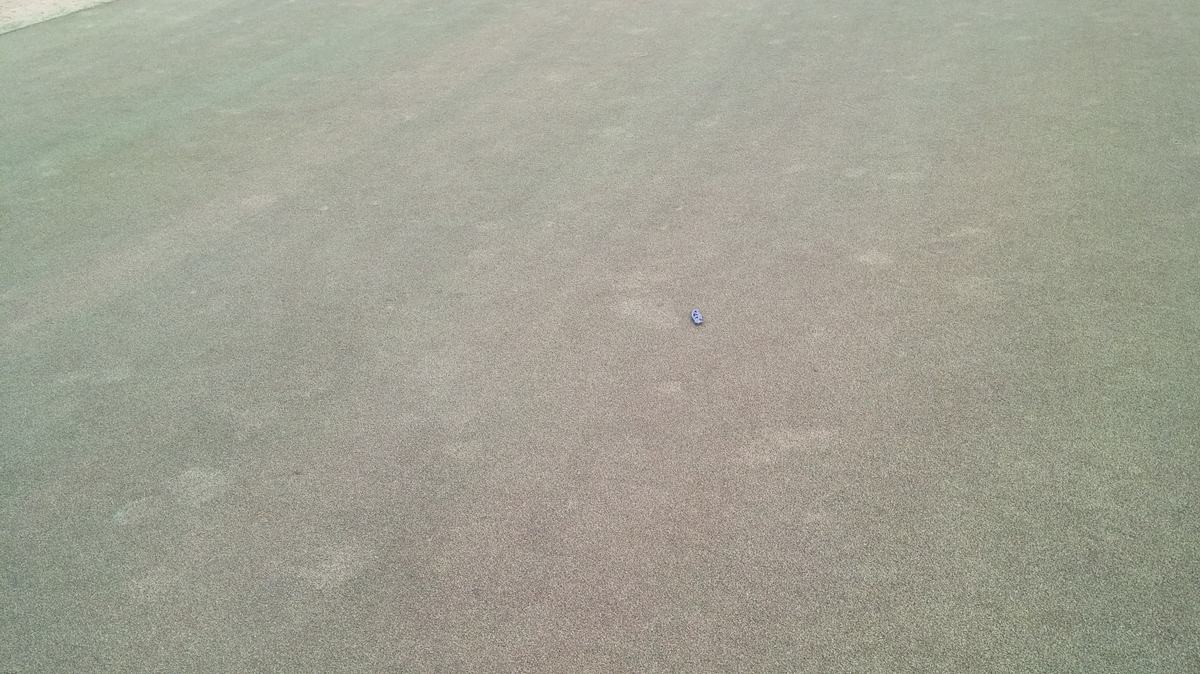 Spring dead spot on turf