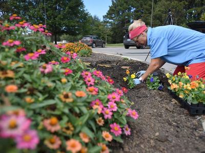 Master Gardener