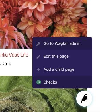 Wagtail Accessibility checker front-end view