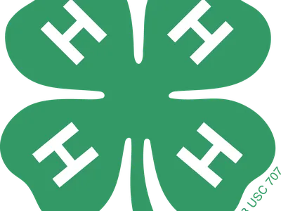 4-H Clover