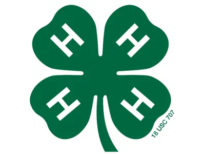 the green 4-H clover with an H on each section