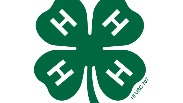 the green 4-H clover with an H on each section