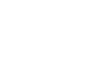 white compass icon