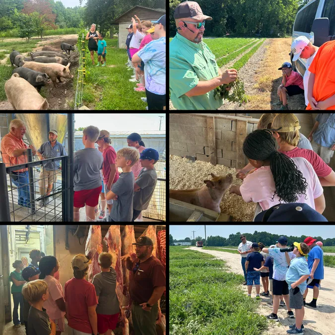 6 photos from farm tours - hog farm, farmers talking with youth participants, processing plant, and field