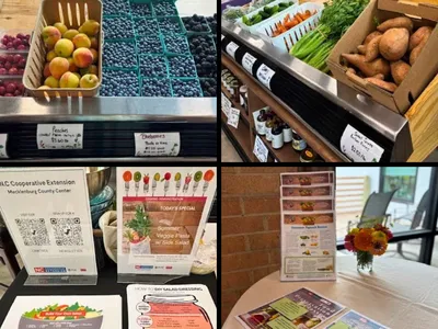 Mini market during the event and some marketing for FCS programs