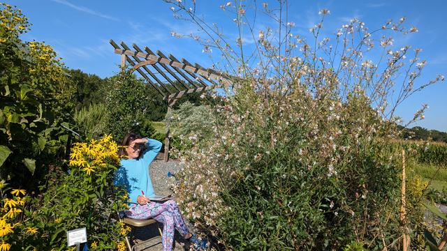 volunteer sitting in a chair next to a large white flowers plant counting insects on a clipboard