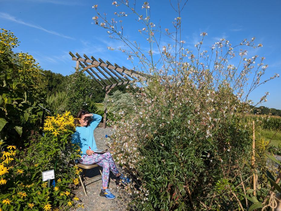 volunteer sitting in a chair next to a large white flowers plant counting insects on a clipboard