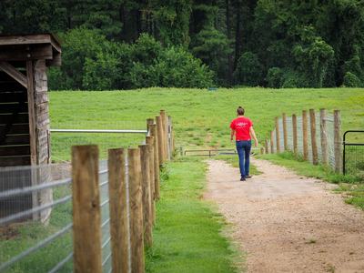 Woman walking through her field