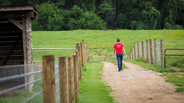 Woman walking through her field