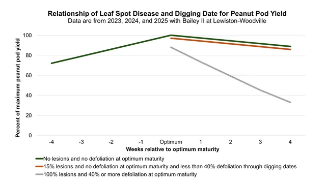 Relationship of digging date, disease and yield