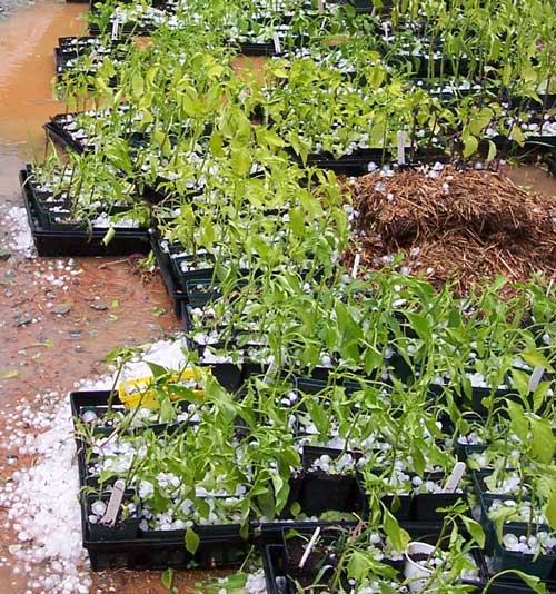 2016 sample submission state map