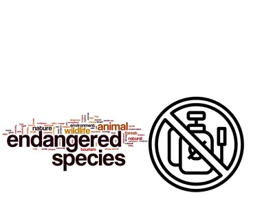 Decorative image showing no use of pesticides within endangered species habitat