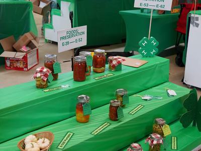 Addy Query, Caldwell County Extension CTE Intern, helps 4-H Volunteer Jenn Flint and her son, 4-H'er PJ Flint, set up his entries for display.
