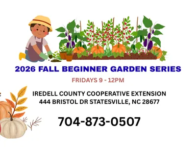 fall garden