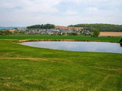 landscape of farm and housing