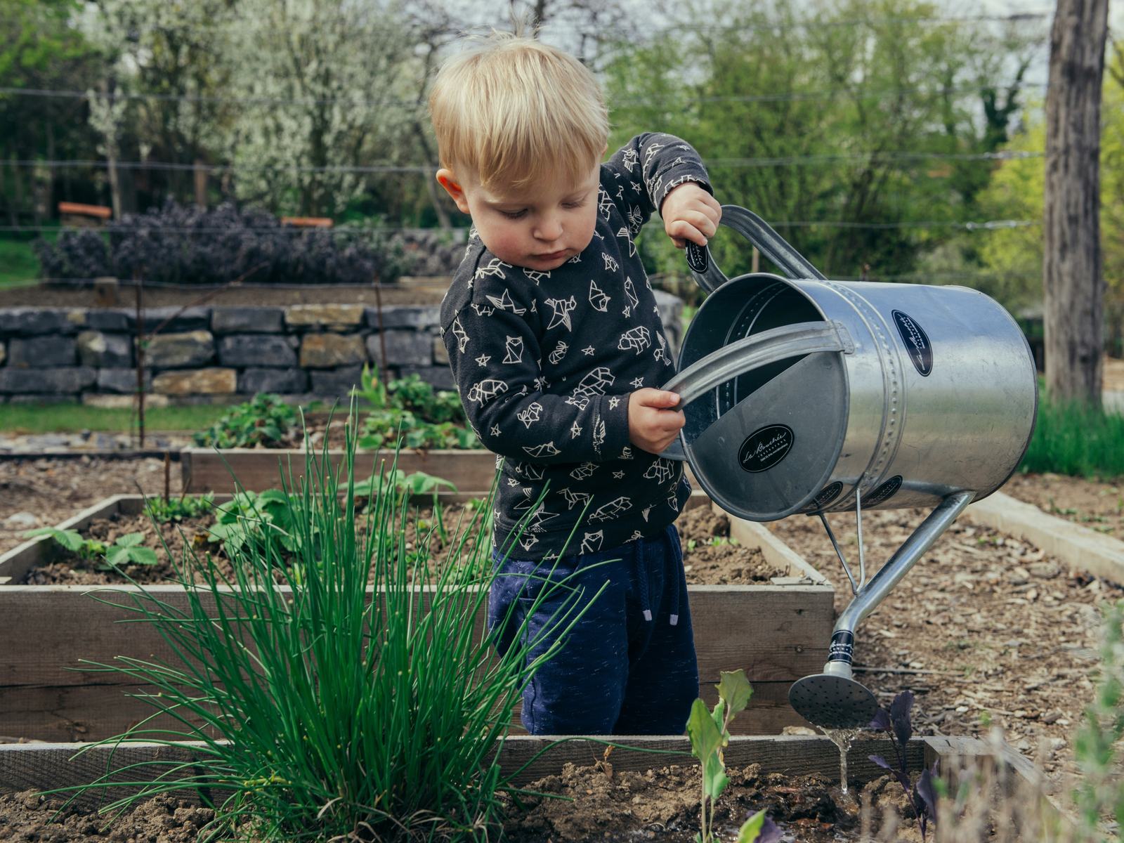 N.C. Cooperative Extension
