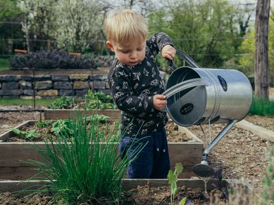 toddler boy in a black and white shirt watering plants with a watering can in a raised bed garden