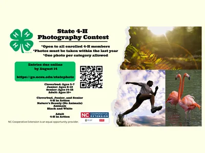 Flier for the state 4-H photo contest.