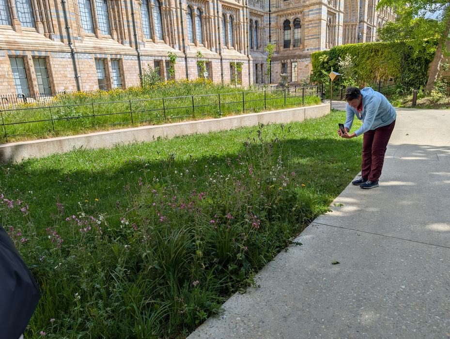 person taking a picture of a field