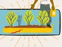Illustration of a gardener tending rows of leafy plants in a raised garden bed, with soil, a worm, and sunlight radiating across the scene.