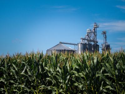 corn field with grain bins behind the corn