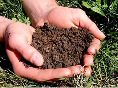 hands full of soil