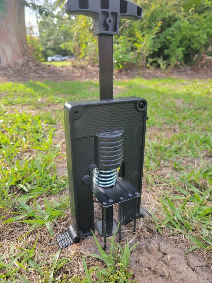 Black spring-loaded harpoon mole trap positioned over an active mole tunnel in a lawn.