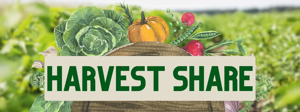 Harvest Share banner featuring a wooden basket overflowing with colorful garden vegetables, including cabbage, squash, peas, radishes, and leafy greens, set against a blurred farm field background. Bold green text reads “HARVEST SHARE.”