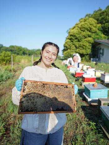 BeeMORE summer interns