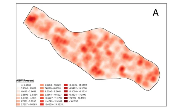 Side-by-side maps labeled A and B show red heat zones, indicating data density. Map A has more concentrated spots, while Map B is elongated with a scale bar.