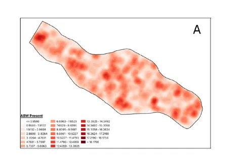 Side-by-side maps labeled A and B show red heat zones, indicating data density. Map A has more concentrated spots, while Map B is elongated with a scale bar.