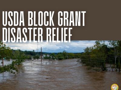Flooded streets in the Mountains after Hurricane Helene