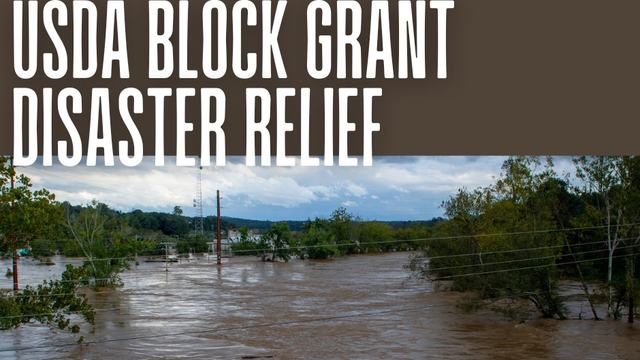 Flooded streets in the Mountains after Hurricane Helene
