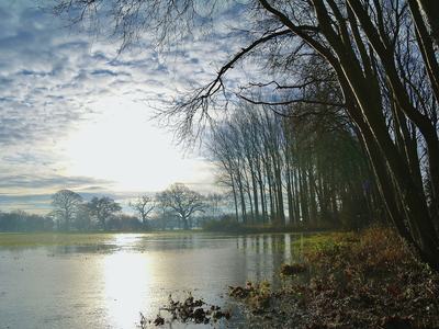 Midday sun shining on a field that has standing water, from recent flooding event.
