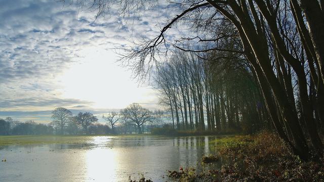 Midday sun shining on a field that has standing water, from recent flooding event.