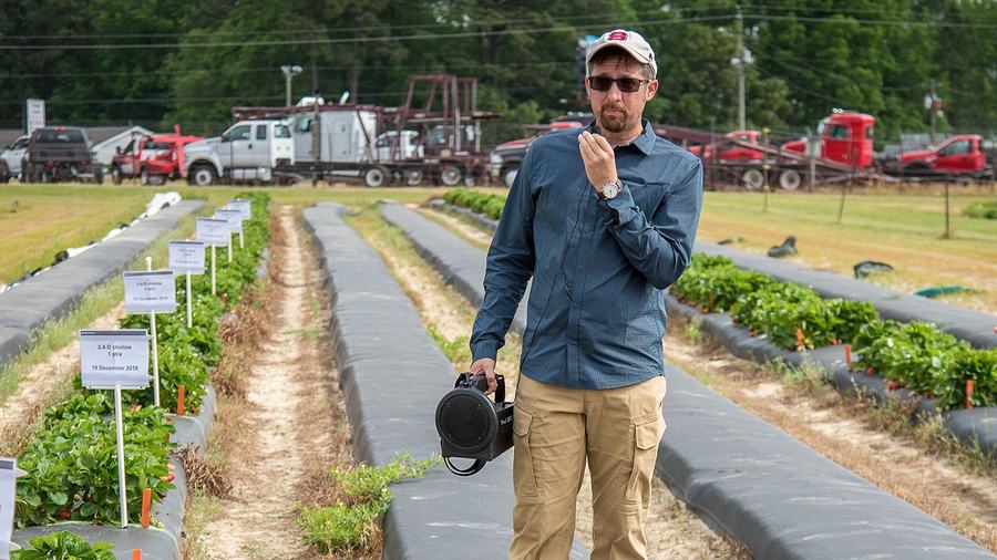 Mark Hoffmann, NC State Extension strawberry specialist, speaks to a crowd of growers and industry stakeholders during an NC State strawberry field day.
