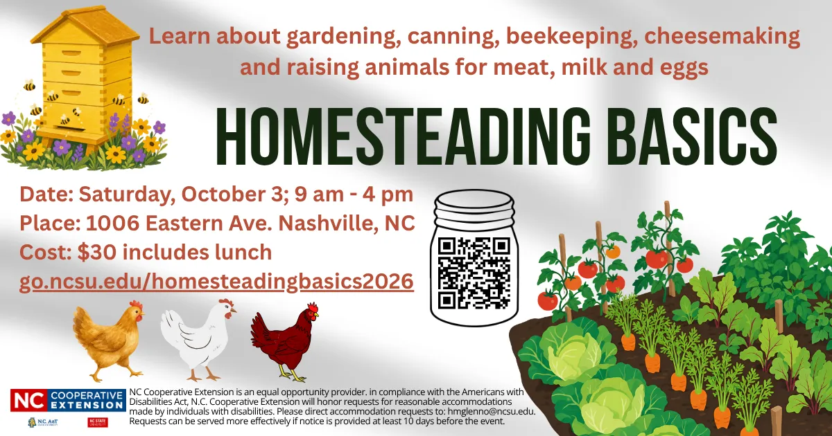 workshop flyer