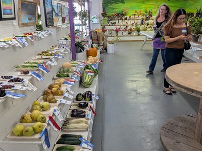 vegetables on shelves with volunteers watching